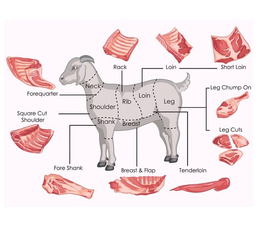 Frozen halal mutton cuts diagram by FHA Exports