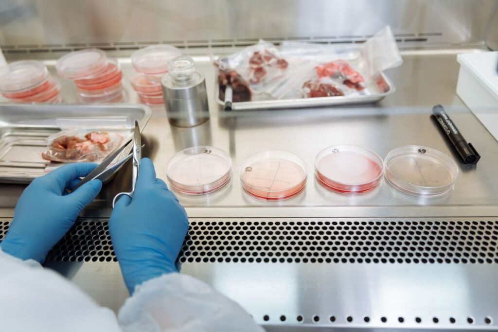 Quality inspection of halal meat samples in the FHA Exports laboratory